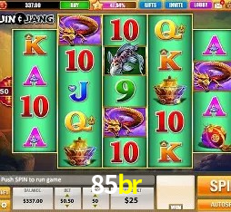 Casino VIP 85br