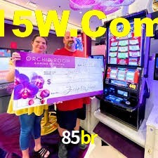 VIP Casino 85br